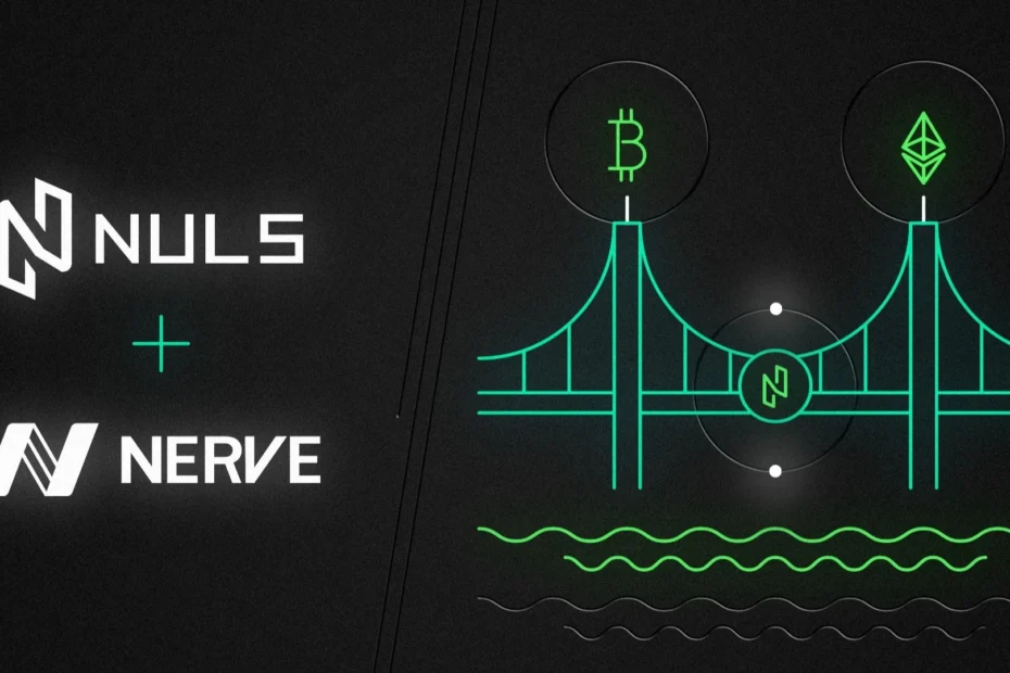 nerve network nuls blockchain cross chain